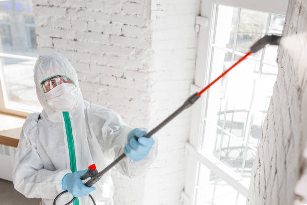 Best Comprehensive Air Testing for Mold Contaminants  in Lake Sherwood, CA