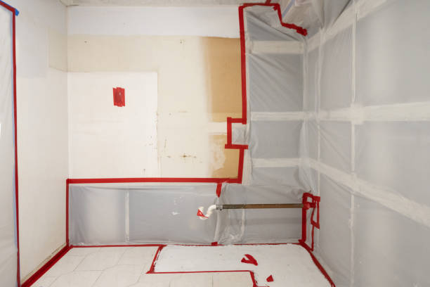 Best Airborne Mold Testing  in Lake Sherwood, CA