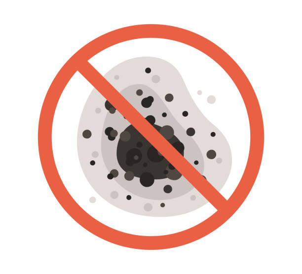 Best Indoor Air Quality Assessment  in Lake Sherwood, CA