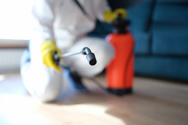 Best Post-Remediation Verification Testing  in Lake Sherwood, CA