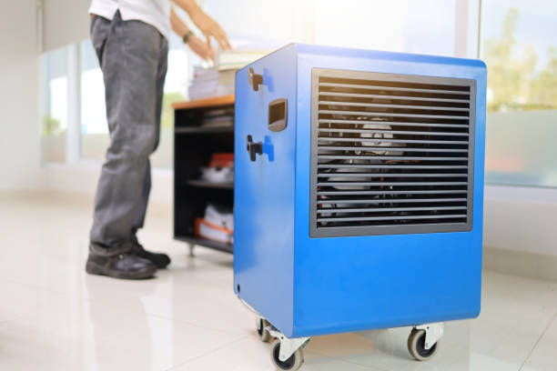 Best HVAC Mold Inspection and Cleaning  in Lake Sherwood, CA